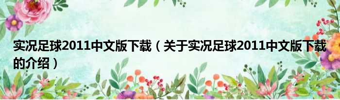 实况足球2011中文版下载（关于实况足球2011中文版下载的介绍）