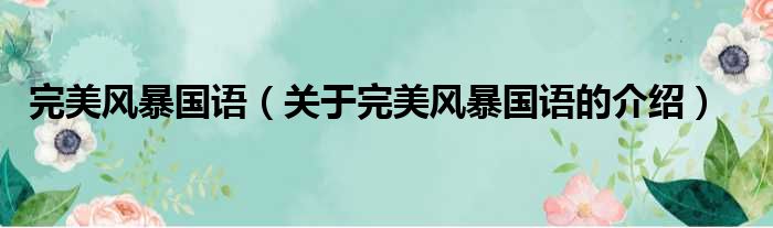 完美风暴国语（关于完美风暴国语的介绍）