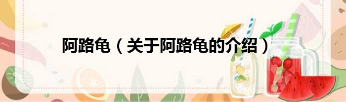阿路龟（关于阿路龟的介绍）