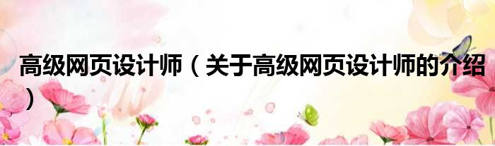 高级网页设计师（关于高级网页设计师的介绍）