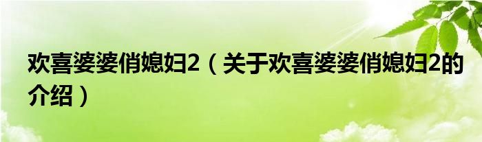 欢喜婆婆俏媳妇2（关于欢喜婆婆俏媳妇2的介绍）