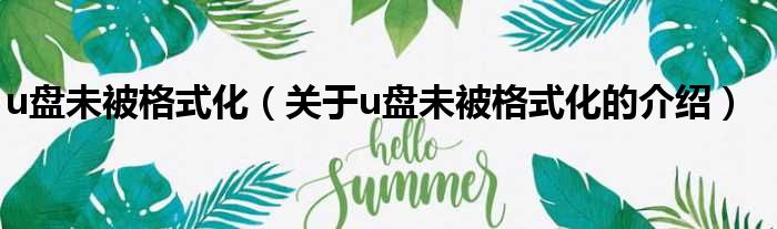 u盘未被格式化（关于u盘未被格式化的介绍）