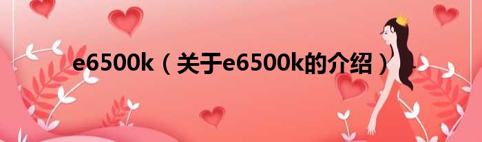 e6500k（关于e6500k的介绍）