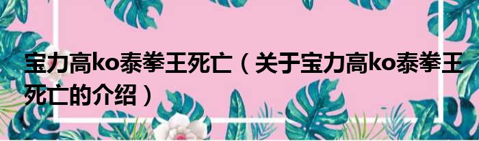 宝力高ko泰拳王死亡（关于宝力高ko泰拳王死亡的介绍）