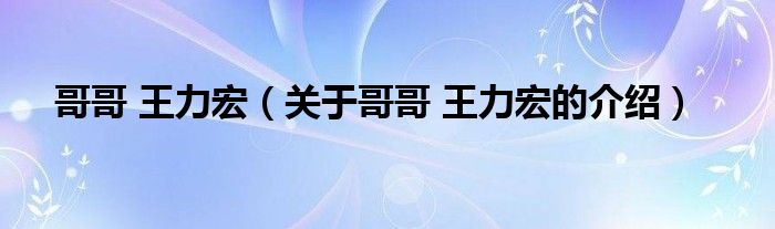 哥哥 王力宏（关于哥哥 王力宏的介绍）