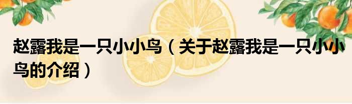 赵露我是一只小小鸟（关于赵露我是一只小小鸟的介绍）