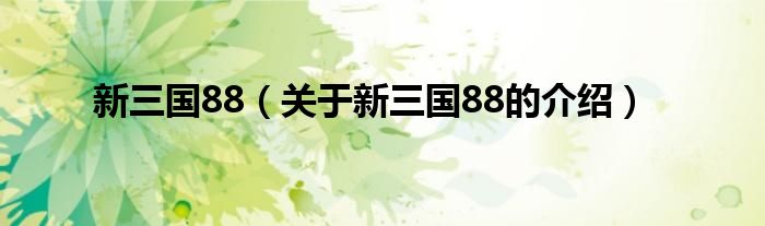 新三国88（关于新三国88的介绍）