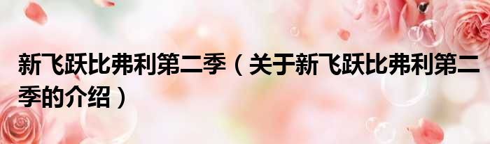 新飞跃比弗利第二季（关于新飞跃比弗利第二季的介绍）