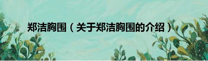 郑洁胸围（关于郑洁胸围的介绍）