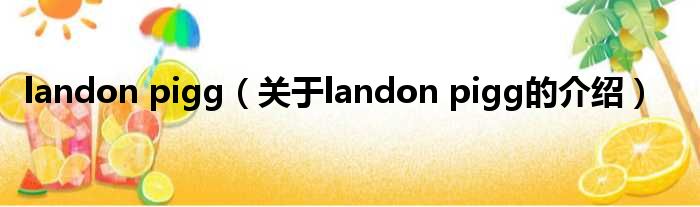 landon pigg（关于landon pigg的介绍）