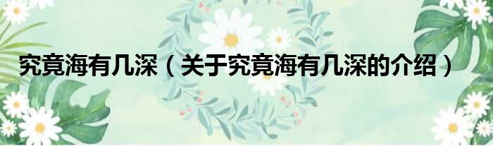 究竟海有几深（关于究竟海有几深的介绍）