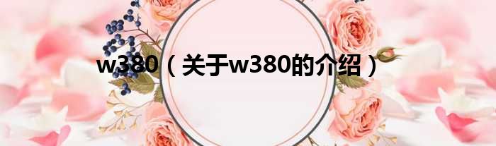 w380（关于w380的介绍）