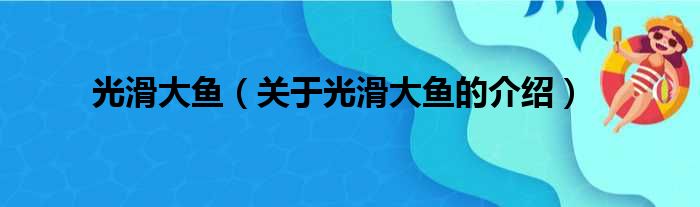 光滑大鱼（关于光滑大鱼的介绍）