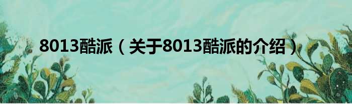8013酷派（关于8013酷派的介绍）