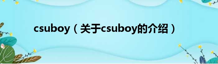 csuboy（关于csuboy的介绍）