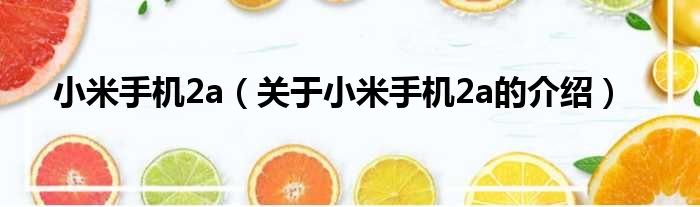 小米手机2a（关于小米手机2a的介绍）