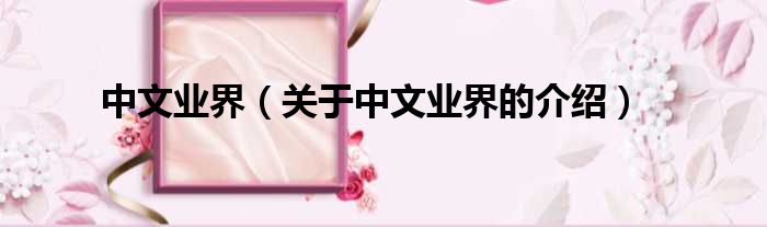 中文业界（关于中文业界的介绍）