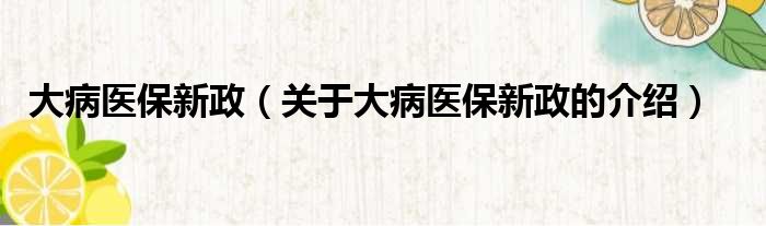 大病医保新政（关于大病医保新政的介绍）