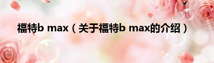 福特b max（关于福特b max的介绍）