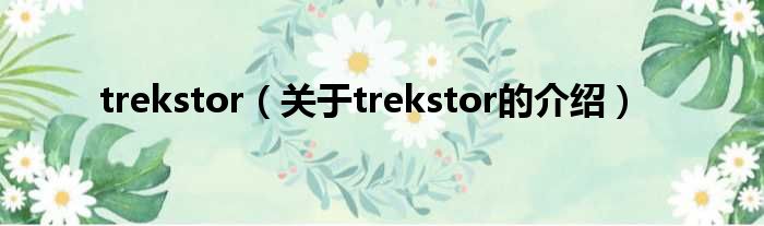 trekstor（关于trekstor的介绍）