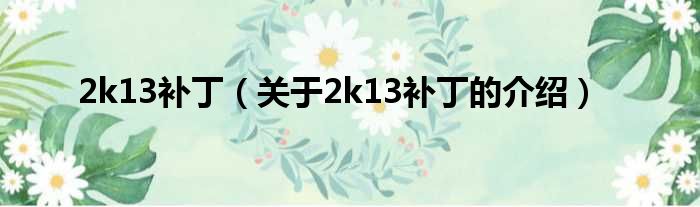 2k13补丁（关于2k13补丁的介绍）