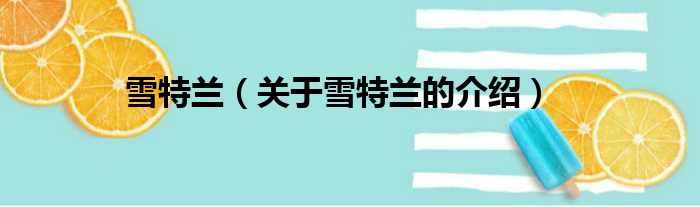 雪特兰（关于雪特兰的介绍）