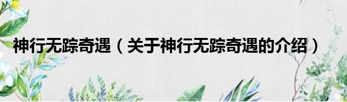 神行无踪奇遇（关于神行无踪奇遇的介绍）