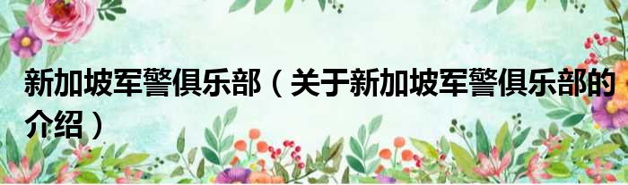 新加坡军警俱乐部（关于新加坡军警俱乐部的介绍）