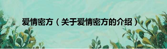 爱情密方（关于爱情密方的介绍）