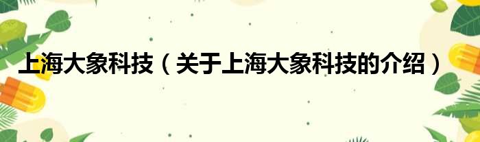 上海大象科技（关于上海大象科技的介绍）