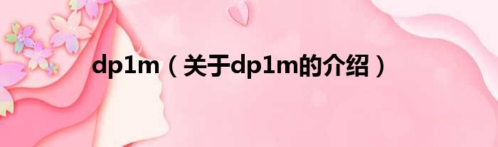 dp1m（关于dp1m的介绍）