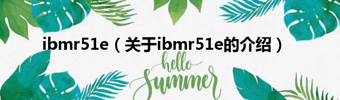 ibmr51e（关于ibmr51e的介绍）