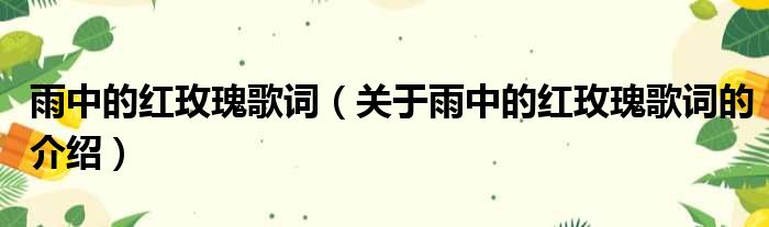 雨中的红玫瑰歌词（关于雨中的红玫瑰歌词的介绍）