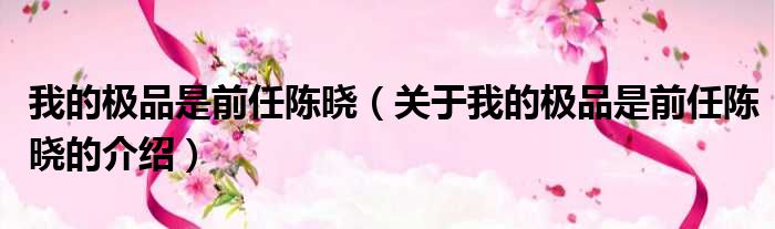 我的极品是前任陈晓（关于我的极品是前任陈晓的介绍）