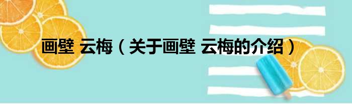画壁 云梅（关于画壁 云梅的介绍）