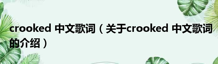 crooked 中文歌词（关于crooked 中文歌词的介绍）