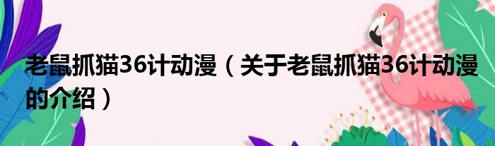 老鼠抓猫36计动漫（关于老鼠抓猫36计动漫的介绍）