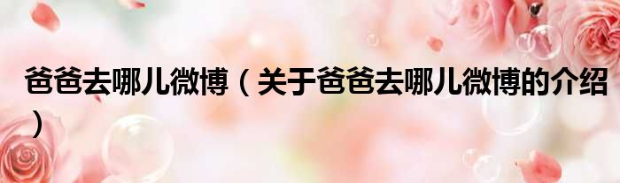 爸爸去哪儿微博（关于爸爸去哪儿微博的介绍）