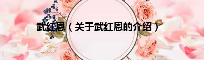 武红恩（关于武红恩的介绍）