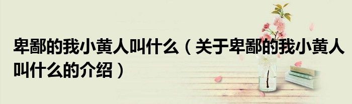卑鄙的我小黄人叫什么（关于卑鄙的我小黄人叫什么的介绍）