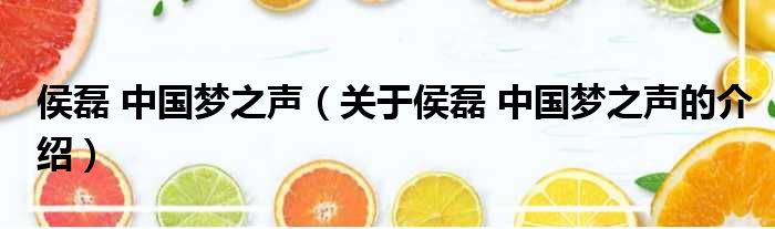 侯磊 中国梦之声（关于侯磊 中国梦之声的介绍）