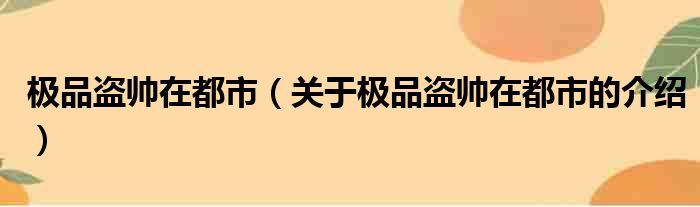 极品盗帅在都市（关于极品盗帅在都市的介绍）