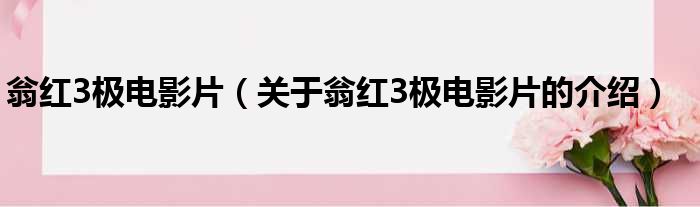 翁红3极电影片（关于翁红3极电影片的介绍）