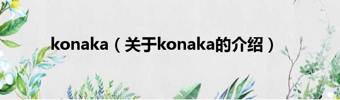 konaka（关于konaka的介绍）
