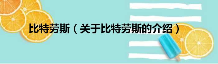 比特劳斯（关于比特劳斯的介绍）
