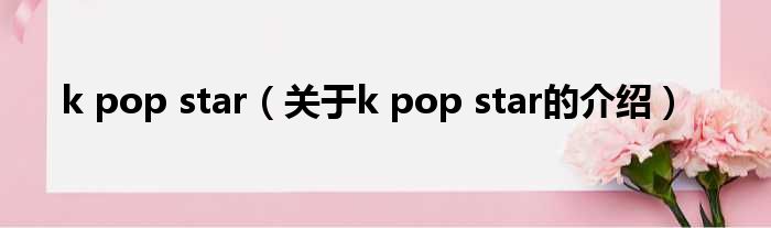k pop star（关于k pop star的介绍）