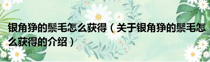 银角狰的鬃毛怎么获得（关于银角狰的鬃毛怎么获得的介绍）