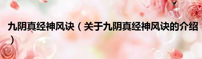 九阴真经神风诀（关于九阴真经神风诀的介绍）