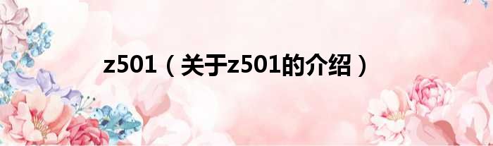 z501（关于z501的介绍）