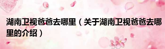 湖南卫视爸爸去哪里（关于湖南卫视爸爸去哪里的介绍）